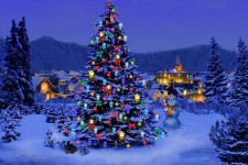 Christmas-Tree-Nature1024-226431